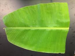 Banana leaf Lunch 