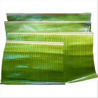 Banana leaf tiffin