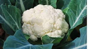 Cauliflower