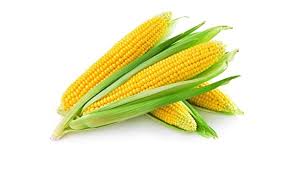 Sweet Corn 