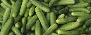 Cucumber