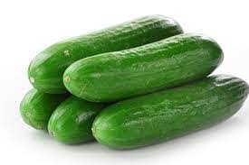 Ooty Cucumber