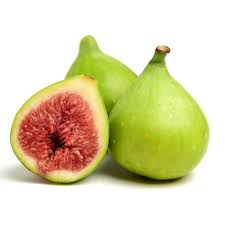 Fig 