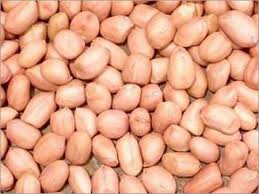 Raw Groundnut (Verkadalai)