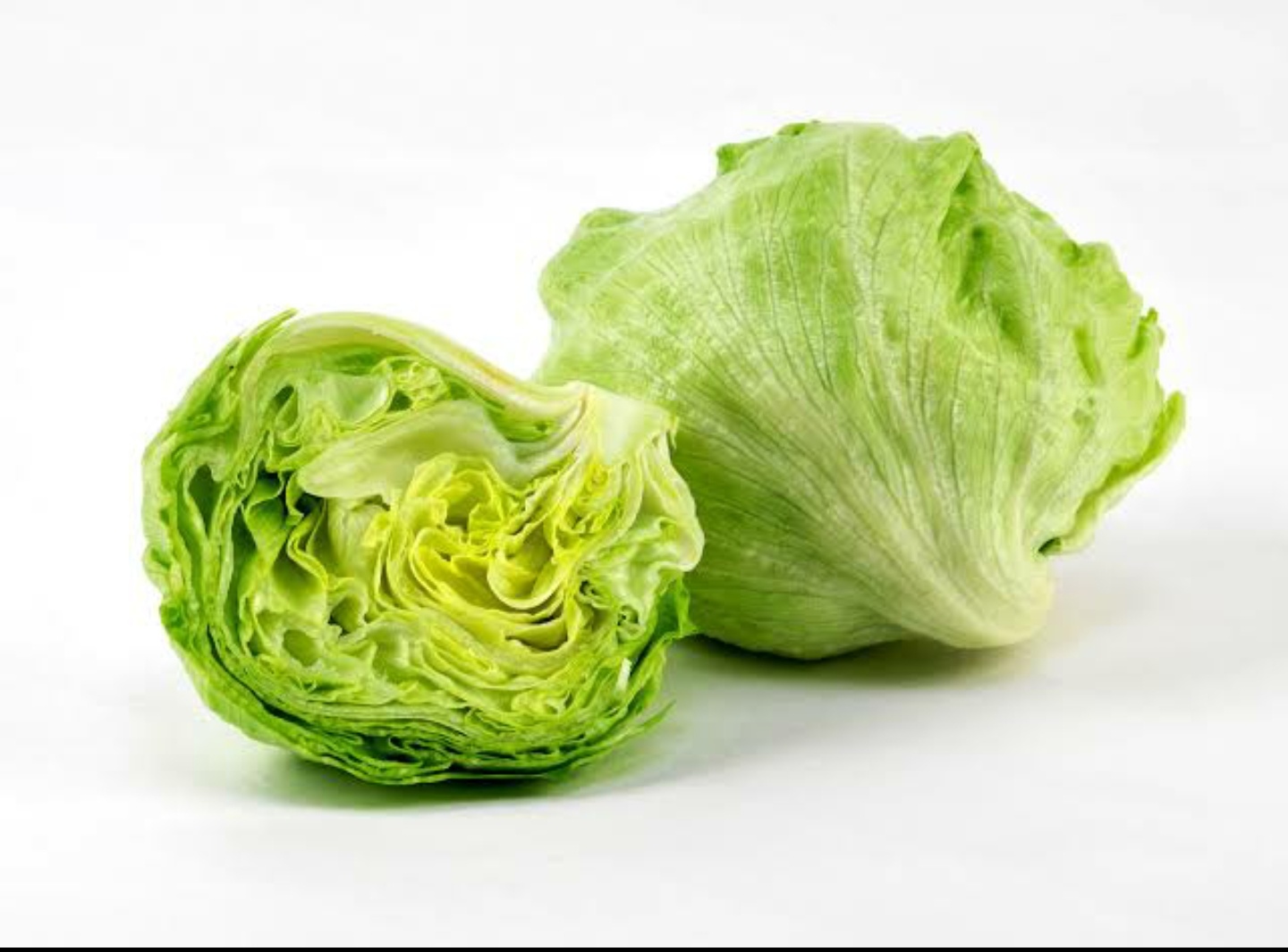 Ice Berg Lettuce