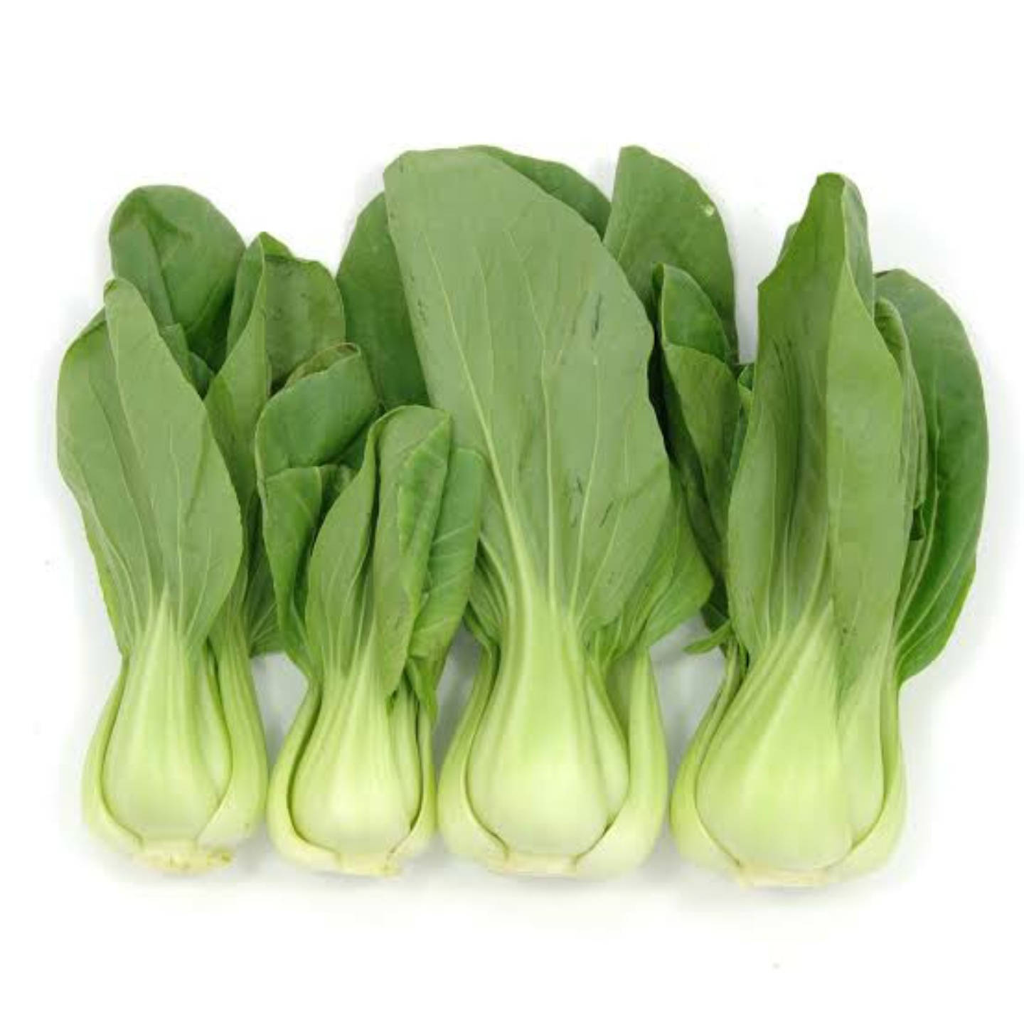 Bok Choy