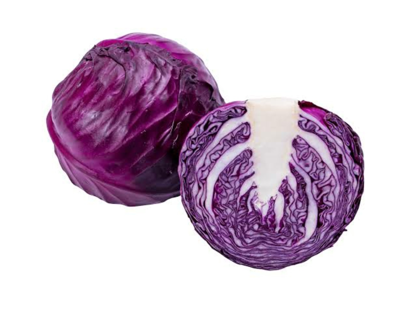 Cabbage Purple