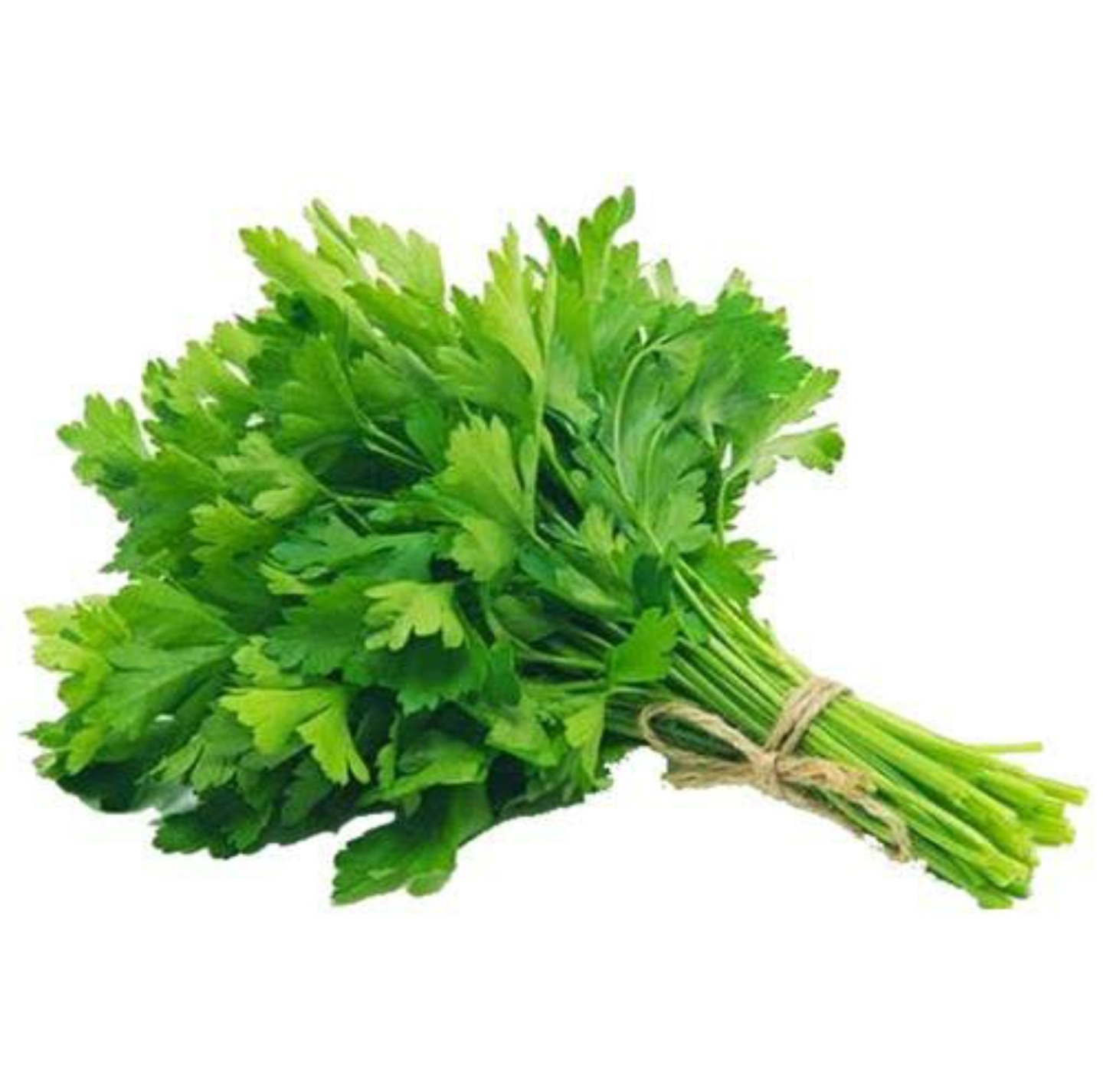 Parsley