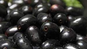 Nagapazham (jamun fruit)