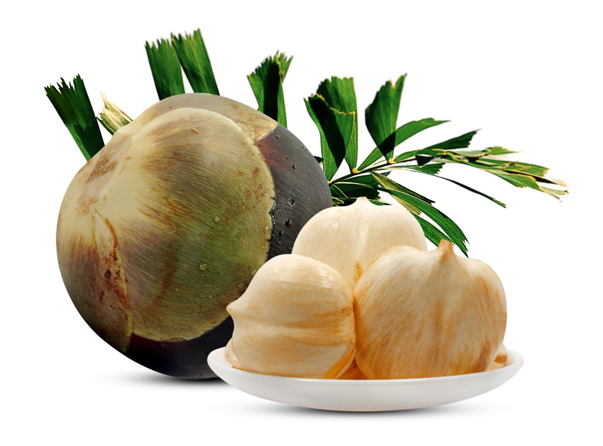 Nungu (Ice Apple)