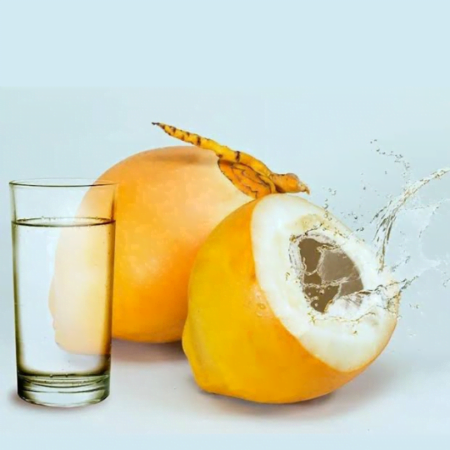 Red tender coconut(2 psc)