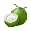 Tender Coconut With Shell