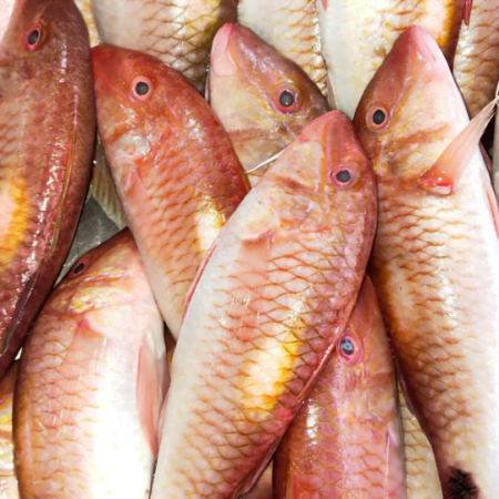 Nagarai Red mullet (1kg)