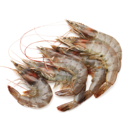Sea prawn (80 count)