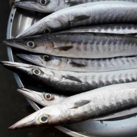 Sheela big (1 Count) 1kg