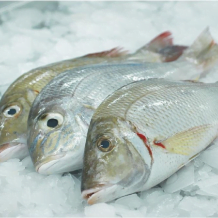 Villai Meen (emperor fish) 1kg