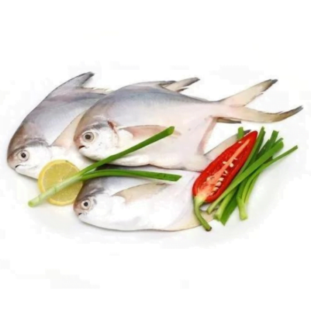 White Indian Salmon (kaala) 1kg