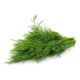 Dill Leaves (1 kattu)