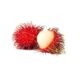 Rambutan
